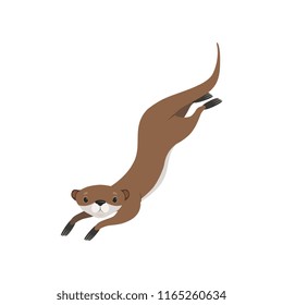 Lovely brown otter swimming, funny animal character vector Illustration on a white background