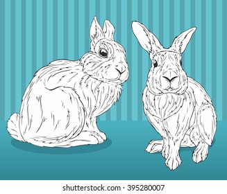 lovely bunny