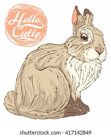 lovely bunny
