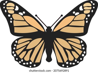 lovely butterfly ready for usage