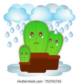 Lovely cactus felling unhappy  because of too much rain.