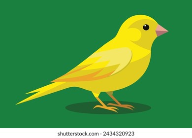 A Lovely canary bird vector illustration