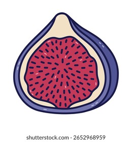 Bonito desenho animado doodle fig fruto cortado ao meio com casca roxa, sementes. Mão infantil desenhou um pedaço exótico maduro de fruta isolado no fundo. Trendy delinear clipart para design de alimentos, embalagem, menu.