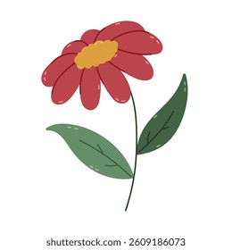 Lovely cartoon growing gerbera daisy with burgundy petals and leaves on stem. Childish blooming wild meadow flower. Summertime wildflower isolated on white background. Colourful floral clipart.