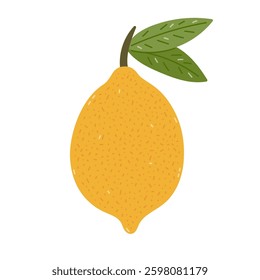 Lovely cartoon textured lemon on stem with leaves. Childish whole citrus fruit isolated on white background. Summertime tropical lemon for poster, greeting card, packaging design, print. Organic food.