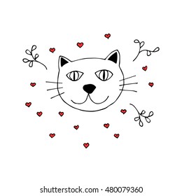 Lovely cat