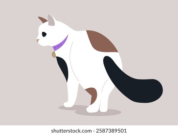 A lovely cat, with a mix of white and brown fur, stands gracefully with its colorful collar, tail lifted slightly, embodying curiosity in a serene indoor environment during a chill afternoon