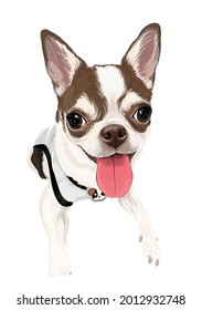 A lovely chihuahua puppy vector art of dog