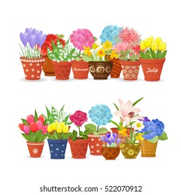 lovely collection different flowers planted in ceramic pots for your design. 