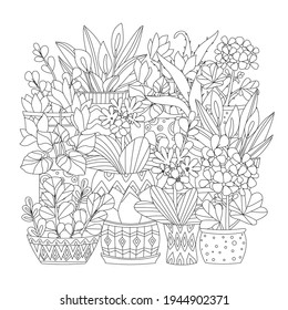 lovely collection of houseplants in decorative flowerpots with geometric ornament for your coloring book