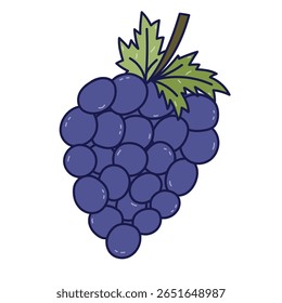 Lovely colored doodle of bunch of grape berries on branch with leaves. Hand drawn vine as symbol of autumnal harvest isolated on white. Juicy fruit for greeting cards, packaging, restaurant menu