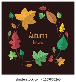 Lovely colorful autumn leaves