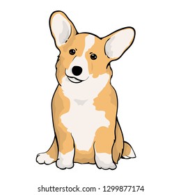 Lovely Corgi Dog Illustration