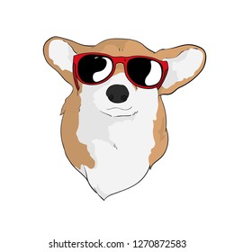 Lovely Corgi Dog / Puppy with sunglasses - vector , clipart