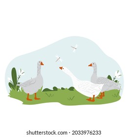 Lovely country rural landscape, Geese graze, flowers, pasture. Farm domestic birds. Isolated character on a white background. Vector illustration in a flat style.