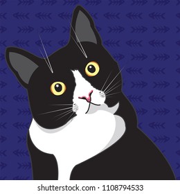 Lovely curious black and white cat with a sweet look. Cat's life. Illustration of a cat in a vector. A curious cat. Vector