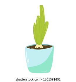 Lovely cute houseplant in a hand-drawn style. Flowerpot with onions.Spring easter Vector illustration
