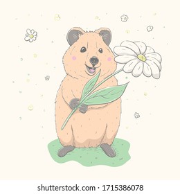 Lovely cute Quokka holds white flower. Realistic Quokka came for a birthday. Cartoon style animal. Easy and cool vector illustration