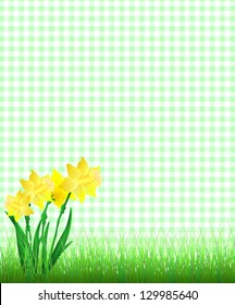 Lovely Daffodils decorating a green plaid