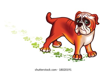 Lovely dog