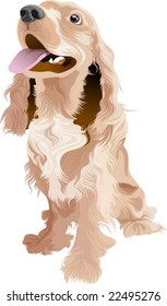 Lovely Dog