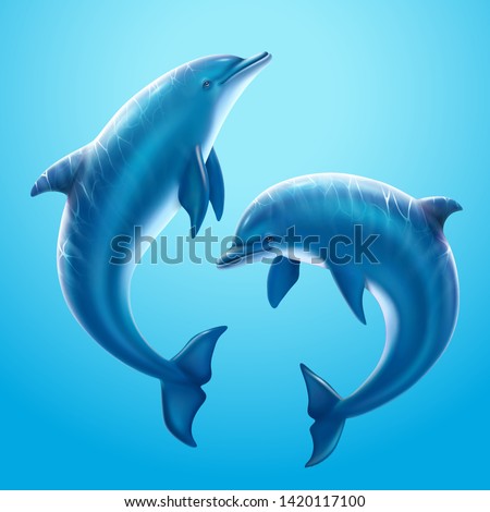 Lovely dolphin playing together in underwater marine world, 3d illustration