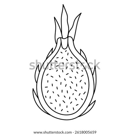 Lovely doodle dragon fruit cut in half with juicy pulp and small seeds. Childish exotic sweet food isolated in white background. Summery and tropic fruit outline doodle for design and print.