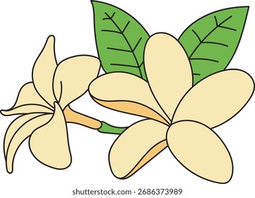 Una Ilustración vectorial encantadora y exótica de dos flores de Frangipani (Plumeria), caracterizadas por sus cinco delicados pétalos.