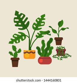 Lovely Flat Design Vector Domestic Plants Featuring Swiss Cheese Plant, 
 Sansevieria, Cactus And More