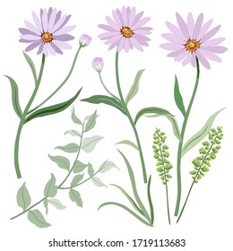 A lovely flower in purple pastel and green plants vector