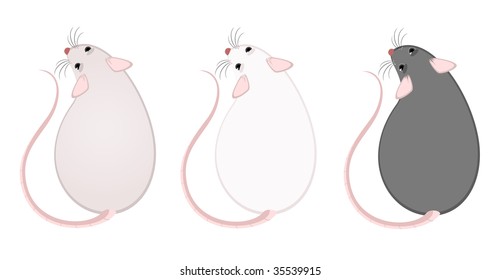 Lovely fluffy mice on a white background