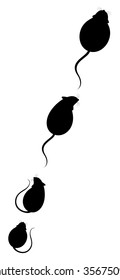  Lovely fluffy mice on a white background