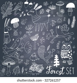 Lovely forest set with sweet wild animals : rabbit, deer, hedgehog, squirrel, owl and birds. Stylish natural background with birds and animals in trees, mushrooms, leafs and insects in gray and white