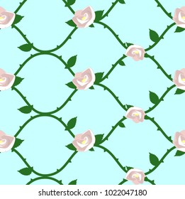 The lovely frash pattern of rose.