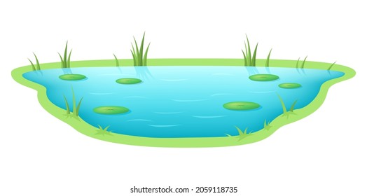Lovely garden pond on white background, vector illustration