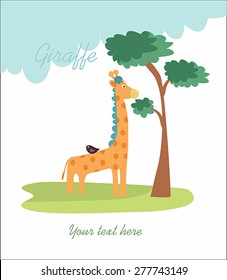 lovely giraffe