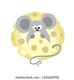Lovely glutton mouse in the head of cheese.