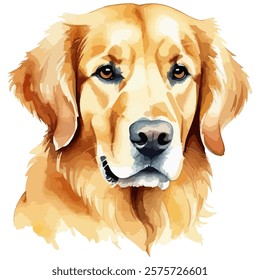 Lovely Golden Retriever Breed Portrait isolated on white background. Doggy, canine animal Colored painting. Hand drawn watercolor painting of a cute dog vector Illustration.