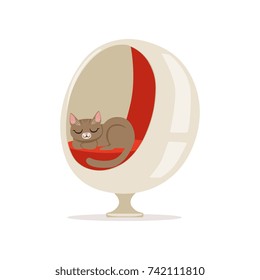 Lovely grey cat sleeping on a modern ball chair home pet resting vector Illustration