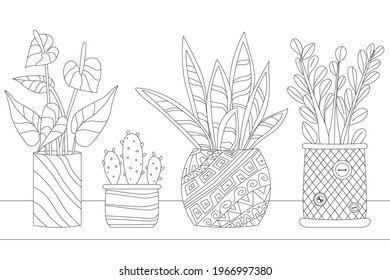 lovely growing houseplants in decorate ceramic flowerpots on shelf for your coloring book