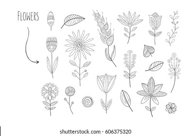 Lovely hand drawn floral elements
