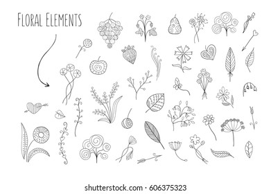 Lovely hand drawn floral elements