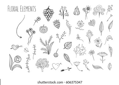 Lovely hand drawn floral elements