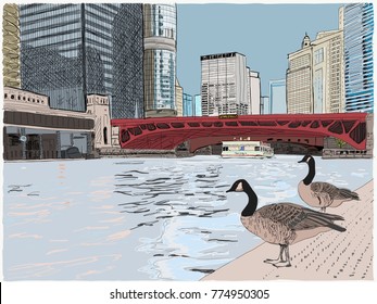 Lovely hand drawn vector illustration of two cute geese standing along the Chicago River, downtown, with skyscrapers all around.