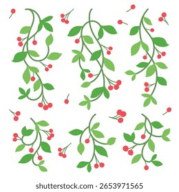 Lovely hand-drawn green vines with red berries in a cartoon style, perfect for nature-themed designs, borders, frames, invitations, crafts, and kids projects.