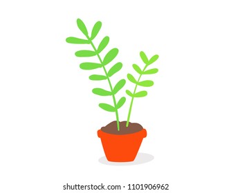 Lovely home flower on white background. Vector illustration of cartoon decoration potted plant. Doodle flat style design for card, web, site, print