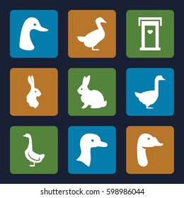 lovely icons set. Set of 9 lovely filled icons such as geese and rabbits.