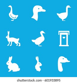 lovely icons set. Set of 9 lovely filled icons such as goose, rabbit