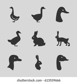 Lovely icons set. set of 9 lovely filled icons such as goose
