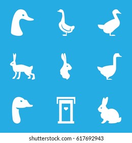 Lovely icons set. set of 9 lovely filled icons such as rabbit, goose